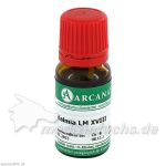 KALMIA ARCA LM 18, 10 ML