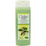 Kappus Ginkgo Biloba Pflanzenölduschbad, 250 ML