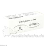 Kn3 Phytolacca cp JSO, 20 G
