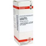 Lachnanthes Tinct. D 4 Dilution (20 ml)