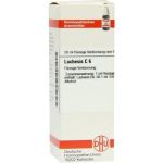 Lachesis C 6 Dilution (20 ml)