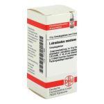 Latrodectus Mactans C 30 Globuli (10 g)