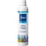 Kühlspray, 300 ML