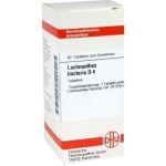 LACHNANTHES TINCT D 4, 80 ST