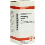 LACHNANTHES TINCT C 4, 80 ST