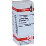 LACHNANTHES TINCT D12, 10 G