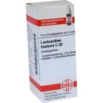 LACHNANTHES TINCT C30, 10 G