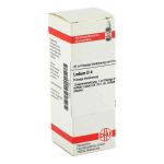 Ledum D 4 Dilution (20 ml)