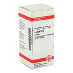 Ledum D 12 Tabletten (80 stk)