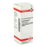 Laurocerasus D 3 Dilution (20 ml)