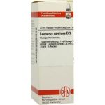 Leonurus Cardiaca D 2 Dilution (20 ml)