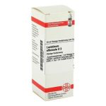 Levisticum Off. D 3 Dilution (20 ml)