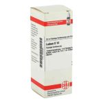 Ledum D 12 Dilution (20 ml)