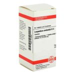 Lespedeza Sieboldii D 4 Tabletten (80 stk)