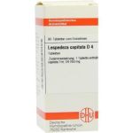 Lespedeza Capitata D 4 Tabletten (80 stk)