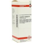 Lespedeza Capitata D 6 Dilution (50 ml)