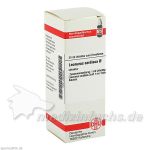 LEONURUS CARDIACA URT, 20 ML