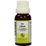LILIUM K Komplex Nr.54 Dilution, 20 ML