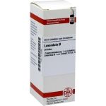 LAVANDULA URT, 20 ML