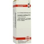 LEONURUS CARDIACA D 4, 20 ML