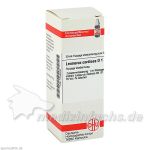 LEONURUS CARDIACA D 1, 20 ML
