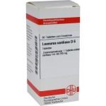 LEONURUS CARDIACA D 6, 80 ST