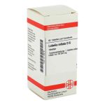 Lobelia Inflata D 6 Tabletten (80 stk)