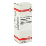 Luffa Operculata D 8 Dilution (20 ml)