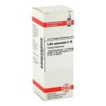 Luffa Operculata D 10 Dilution (20 ml)