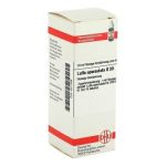 Luffa Operculata D 30 Dilution (20 ml)