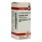 Lm Graphites Vi (10 ml)
