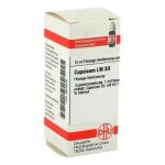 Lm Capsicum Xii (10 ml)