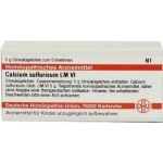 Lm Calcium Sulfuricum Vi Globuli (5 g)