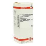 Lobelia Inflata D 6 Dilution (50 ml)