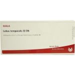LOBUS TEMPORALIS GL D 6, 10X1 ML