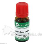 LYCOPODIUM ARCA LM 24, 10 ML