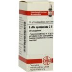 LUFFA OPERCUL C 6, 10 G