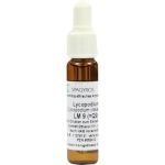 Lycopodium LM9, 9 ML