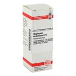 Magnesium Carbonicum D 12 Dilution (20 ml)