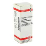 Mandragora E Radice Sic. D 4 Dilution (20 ml)