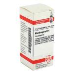 Mandragora D 4 Globuli (10 g)