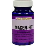 Magen-Fit GPH Kapseln, 60 ST 