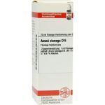 Ammi Visnaga D 6 Dilution (20 ml)