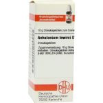 Anhalonium Lewinii D 4 Globuli (10 g)
