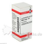 ALLIUM CEPA D 6, 10 G