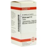 ALLIUM CEPA D12, 80 ST