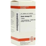 AMMI VISNAGA D 6, 80 ST