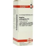 ANGELICA ARCHANGELICA D 6, 20 ML