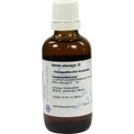 AMMI VISNAGA URT D 1 HANOS, 50 ML