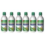 Aloe Vera Saft mit Noni Saft, 6X1 L